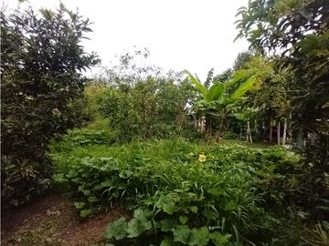 place photo 74