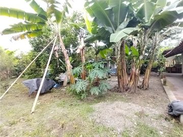 place photo 49