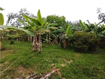 place photo 59