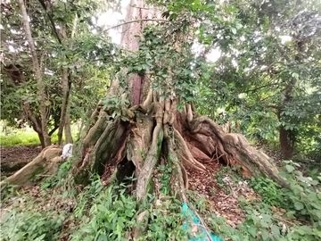 place photo 56