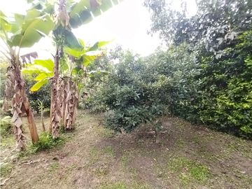 place photo 71