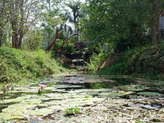 place photo 15