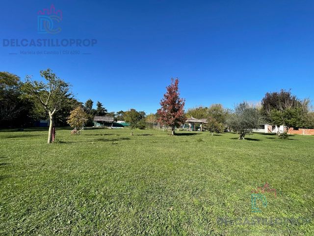 place photo 31