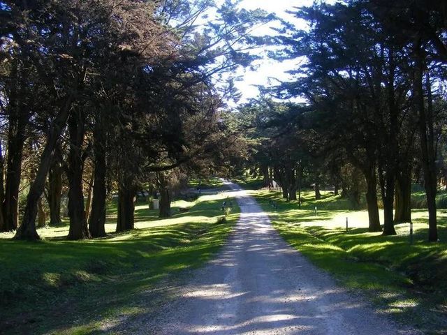 place photo 15