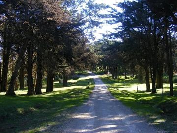 place photo 15