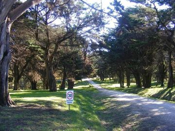 place photo 14