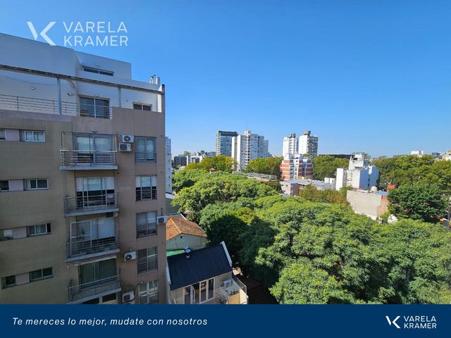 place photo 34
