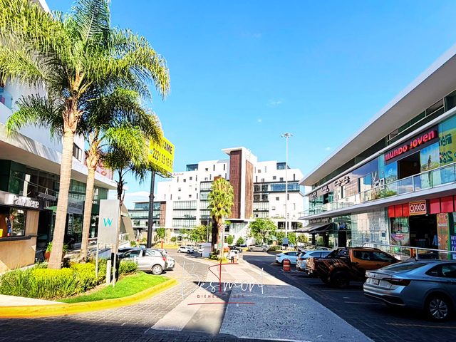 place photo 24