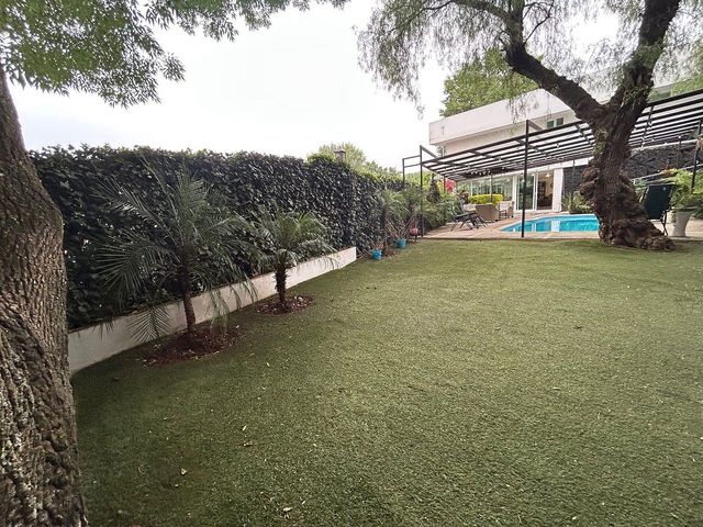 place photo 38