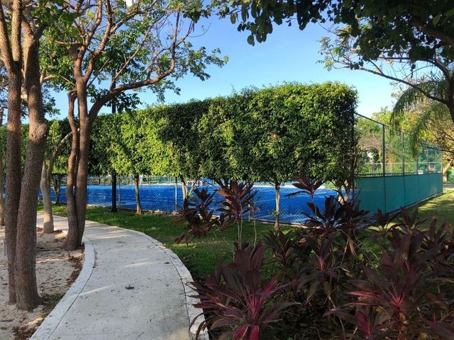 place photo 19