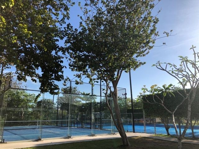 place photo 23