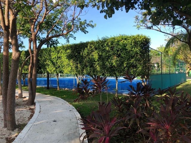 place photo 13