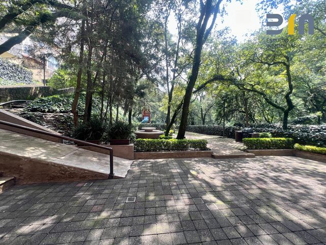 place photo 27