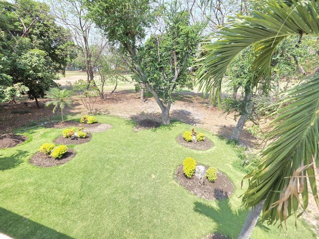 place photo 44
