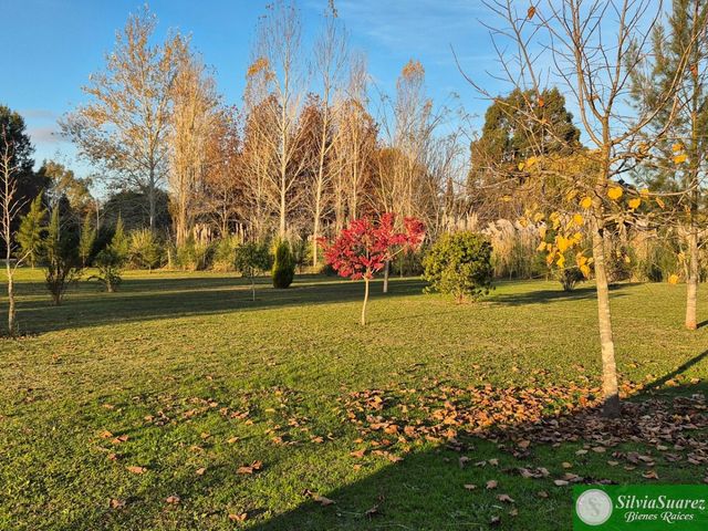 place photo 34