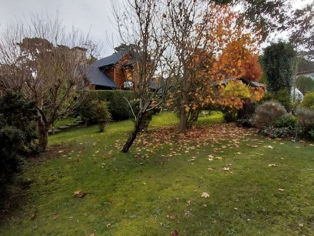 place photo 43