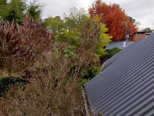 place photo 66