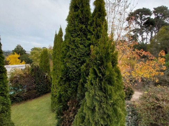 place photo 65
