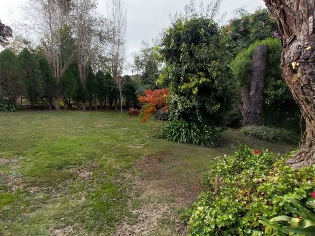 place photo 40