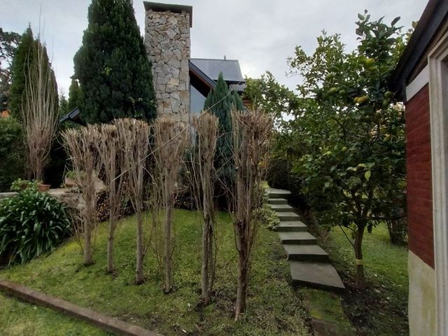 place photo 71