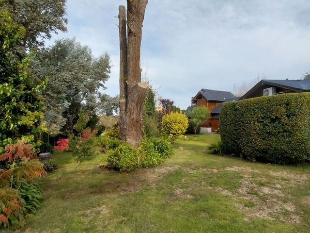 place photo 42