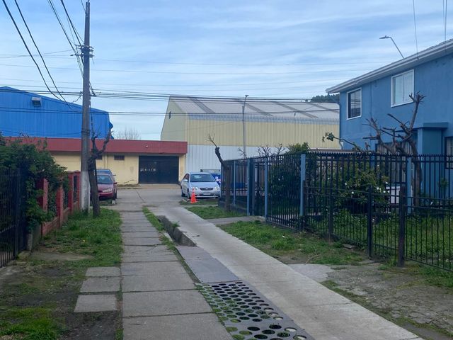 place photo 21