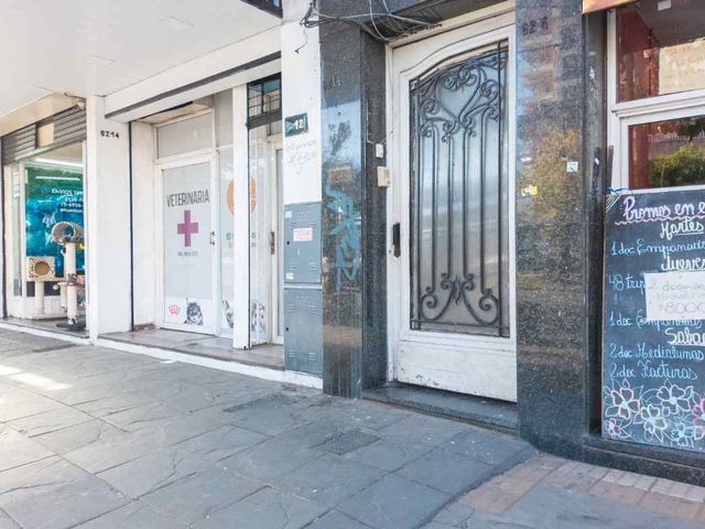 place photo 29