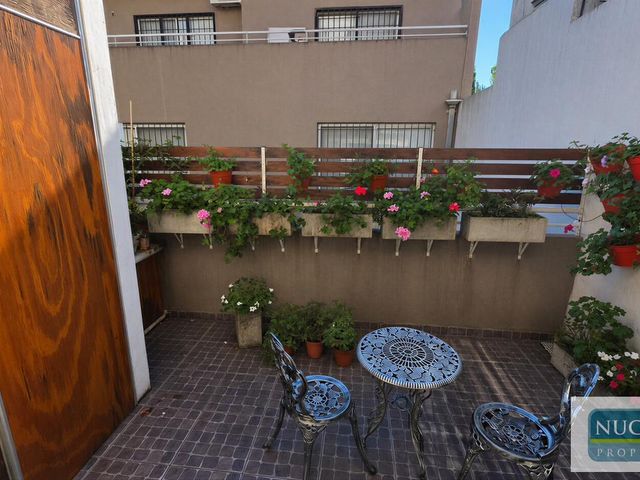 place photo 14