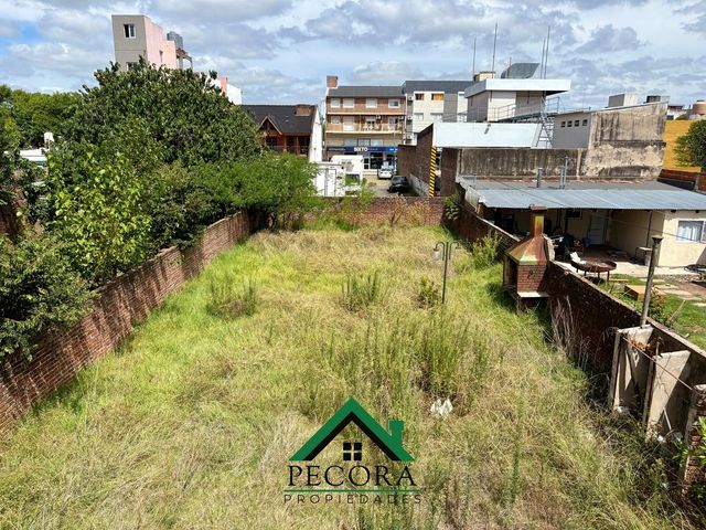 place photo 27
