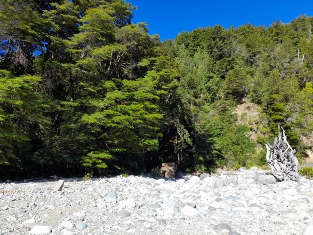 place photo 43