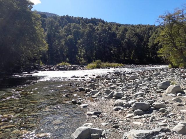 place photo 44