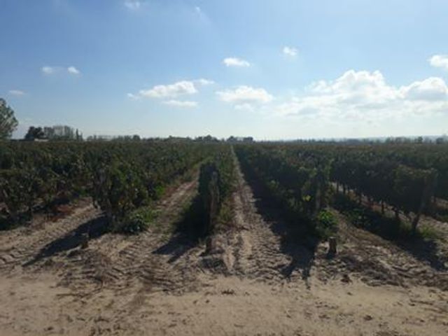 Bodega - Ugarteche