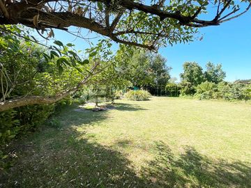 place photo 42