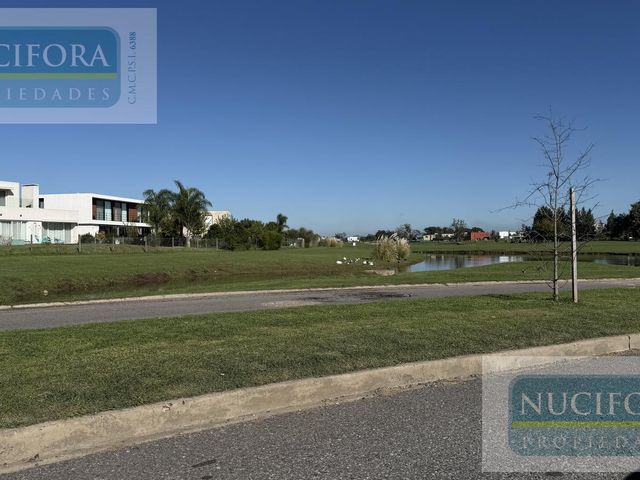 place photo 52