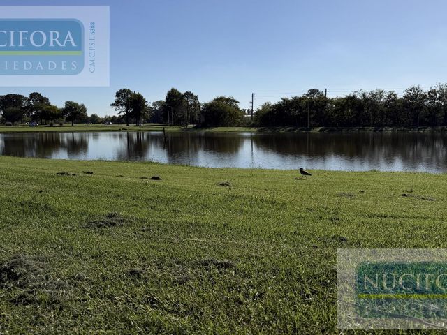 place photo 66