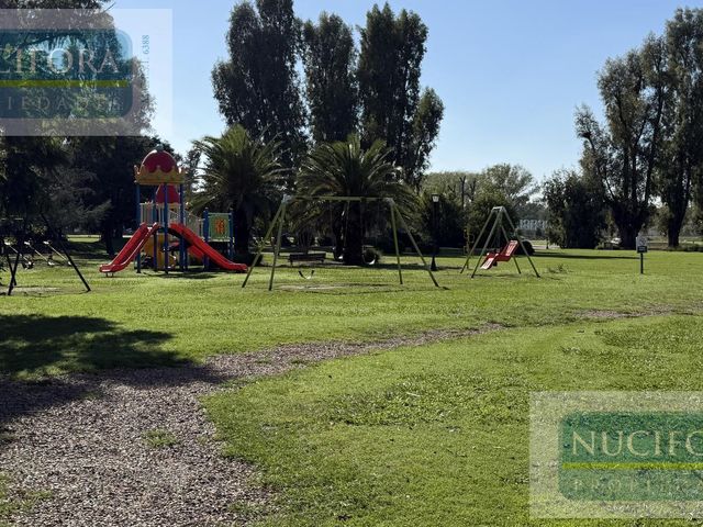 place photo 61