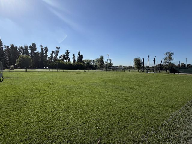place photo 63