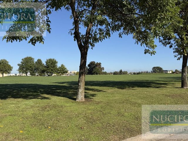 place photo 53