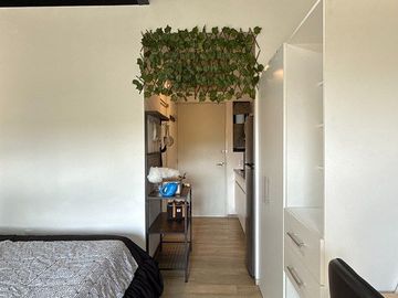 place photo 17