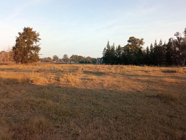 place photo 26