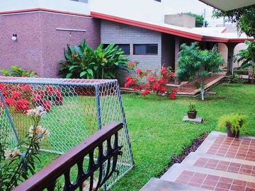 place photo 34