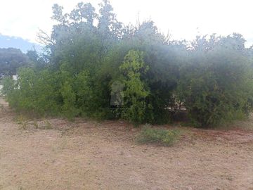 place photo 41