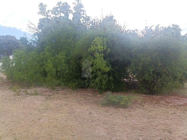 place photo 41