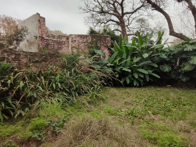 place photo 36