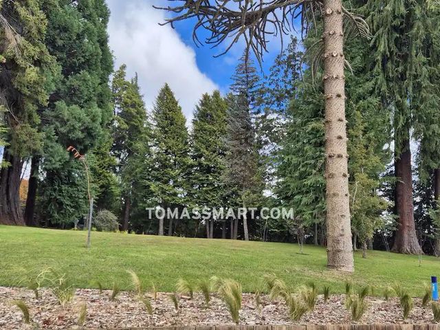 place photo 35