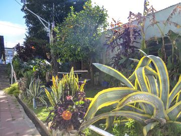 place photo 31