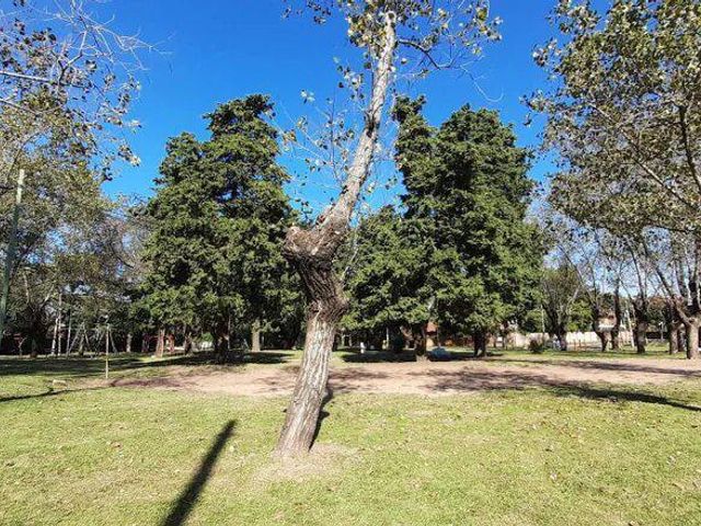 place photo 28