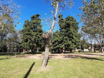place photo 28