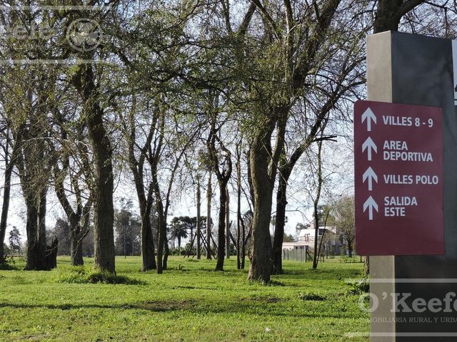 place photo 69