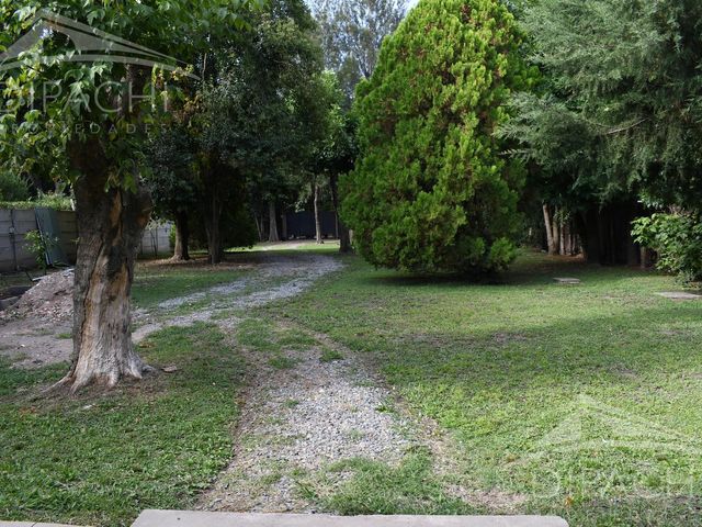 place photo 49